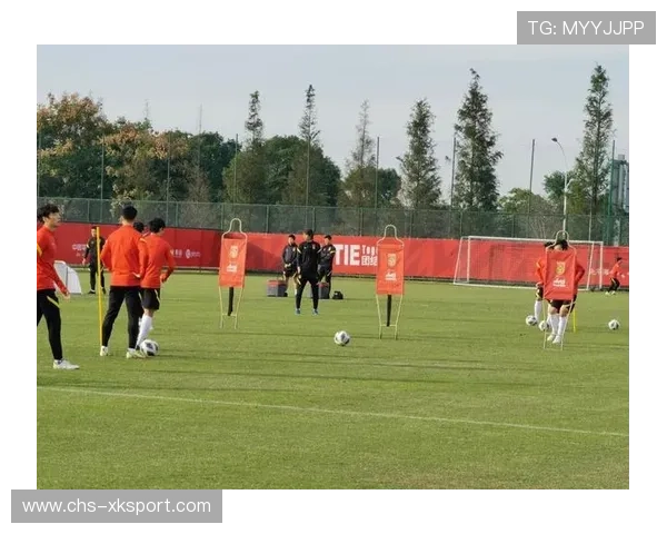 中国足球俱乐部科技投入在训练与康复中的应用,我国职业足球俱乐部发展现状 中国足球俱乐部科技投入在训练与康复中的应用,我国职业足球俱乐部发展现状